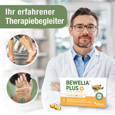 Mizell Weihrauch Kapseln – 50-fach bioverfügbar mit Vitamin K2 – 600 mg &amp; 250 mg AKBA, A-Nr.: 5614238 - 02