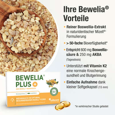 Mizell Weihrauch Kapseln – 50-fach bioverfügbar mit Vitamin K2 – 600 mg &amp; 250 mg AKBA, A-Nr.: 5614238 - 03