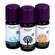 Sauna Essenz Taoasis Baldini Kennenlernset 3x10ml 1pk, A-Nr.: 4891645 - 06