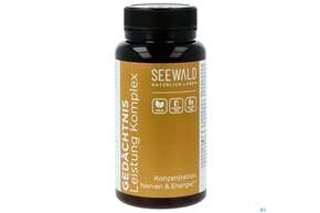 Sie sehen eine Packung Seewald Gedächtnis Leistung Komplex 60 St, Produktbild: 01 Seewald Gedächtnis Leistung Komplex 60 St, A-Nr.: 4911193 - 01
