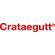 Sie sehen eine Packung Crataegutt® 450mg - Filmtabletten, Produktbild: 05 Crataegutt® 450mg - Filmtabletten, A-Nr.: 4215660 - 05