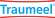 Traumeel®-Salbe, A-Nr.: 0928742 - 05