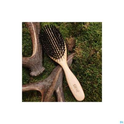Sie sehen eine Packung Canal Naturhaarbuerste Wildschweinborsten Buchenholz 9434- 1st, Produktbild: 02 Canal Naturhaarbuerste Wildschweinborsten Buchenholz 9434- 1st, A-Nr.: 4788410 - 02