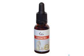 Edis Bio 07 Chestnut Bud 20ml, A-Nr.: 4107976 - 01