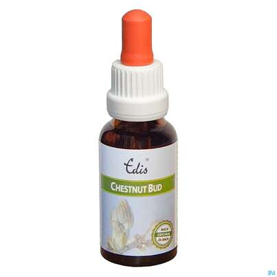 Edis Bio 07 Chestnut Bud Alkoholfrei 20ml, A-Nr.: 4107539 - 01