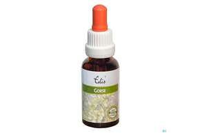 Edis Bio 13 Gorse Alkoholfrei 20ml, A-Nr.: 4107597 - 01