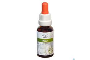 Edis Bio 15 Holly Alkoholfrei 20ml, A-Nr.: 4107611 - 01