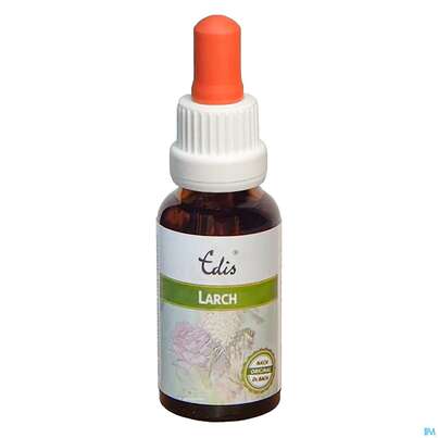 Edis Bio 19 Larch Alkoholfrei 20ml, A-Nr.: 4107657 - 01