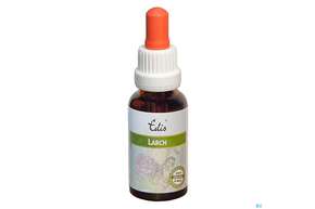 Edis Bio 19 Larch Alkoholfrei 20ml, A-Nr.: 4107657 - 01