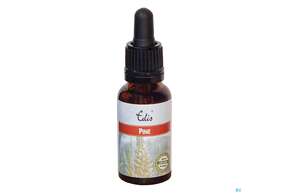 Edis Bio 24 Pine 20ml, A-Nr.: 4108154 - 01