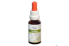 Edis Bio 37 Wild Rose Alkoholfrei 20ml, A-Nr.: 4107858 - 01