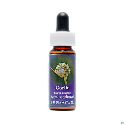 Fes Garlic 7,5ml, A-Nr.: 2153908 - 01