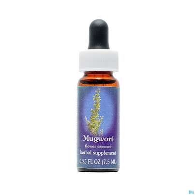 Fes Mugwort 7,5ml, A-Nr.: 2154380 - 01