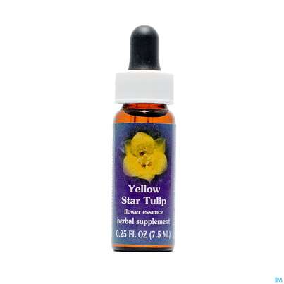 Fes Yellow Star Tulip 7,5ml, A-Nr.: 2155273 - 01