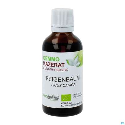 Gemmo Mazerat Bio Phytoaustria Feige Ficus Carica 50ml, A-Nr.: 4597271 - 02
