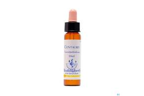 Healing Herbs 04 Centaury 10ml, A-Nr.: 2185989 - 01