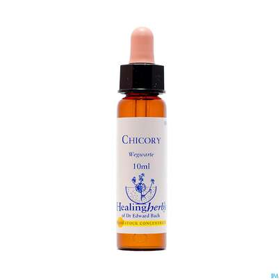 Healing Herbs 08 Chicory 10ml, A-Nr.: 2186078 - 01