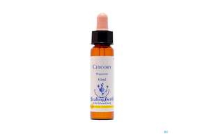 Healing Herbs 08 Chicory 10ml, A-Nr.: 2186078 - 01