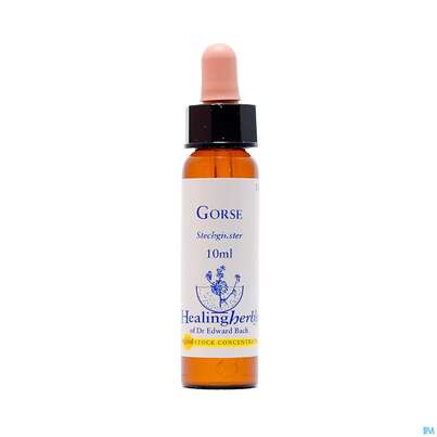 Healing Herbs 13 Gorse10 ml, A-Nr.: 2186173 - 01