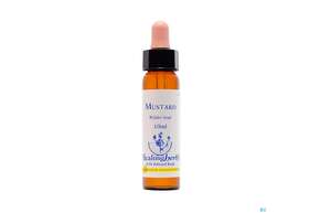 Healing Herbs 21 Mustard 10ml, A-Nr.: 2186368 - 01