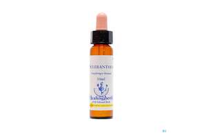 Healing Herbs 28 Scleranthus 10ml, A-Nr.: 2186517 - 01