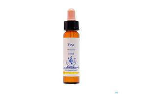 Healing Herbs 32 Vine 10ml, A-Nr.: 2186606 - 01