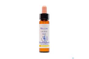 Healing Herbs 38 Willow 10ml, A-Nr.: 2186724 - 01