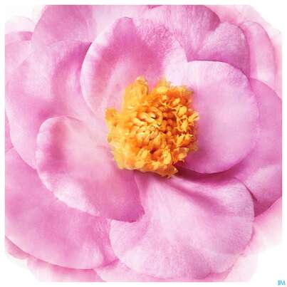 Sie sehen eine Packung Nuxe Hair Prodigieux Intense Nourishing Leave-in Cream 100ml, Produktbild: 03 Nuxe Hair Prodigieux Intense Nourishing Leave-in Cream 100ml, A-Nr.: 5880721 - 03