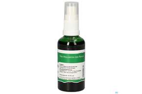 Pater Severin Andornkraut Spray, A-Nr.: 4443378 - 01