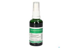 Pater Severin Basilicum Spray, A-Nr.: 5613919 - 01