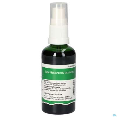 Pater Severin Basilikum Spray, A-Nr.: 4443496 - 01