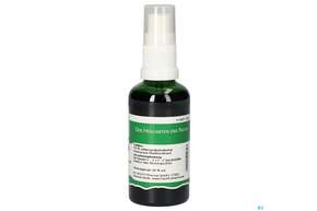 Pater Severin Basilikum Spray, A-Nr.: 4443496 - 01