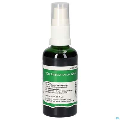 Pater Severin Basilikum Spray, A-Nr.: 4443496 - 04