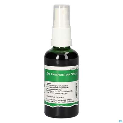 Pater Severin Berberitzen Spray, A-Nr.: 4443533 - 04