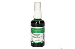 Pater Severin Blasentang Spray, A-Nr.: 4443651 - 01