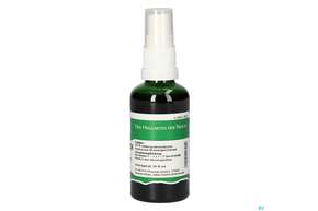 Pater Severin Blutweiderich Spray, A-Nr.: 4878449 - 01