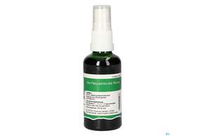 Pater Severin Electuarium Aromat Spray, A-Nr.: 4485448 - 01