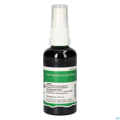 Pater Severin Erdbeerblatt Spray, A-Nr.: 4443869 - 04