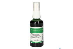 Pater Severin Gundelrebenkraut Spray, A-Nr.: 4443993 - 01