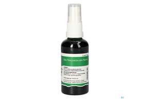 Pater Severin Habichtskrautwurzel Spray, A-Nr.: 4566448 - 01