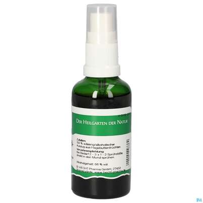 Pater Severin Hagebutten Spray, A-Nr.: 4444018 - 04