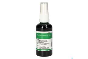 Pater Severin Hamamelisrinden Spray, A-Nr.: 4444030 - 01