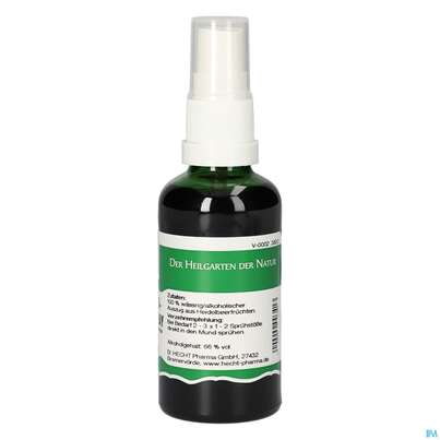 Pater Severin Heidelbeerfrüchte Spray, A-Nr.: 4444076 - 04