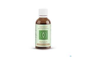 Sie sehen eine Packung Seewald Bärlauch 50ml, Produktbild: 01 Seewald Bärlauch 50ml, A-Nr.: 4624677 - 01