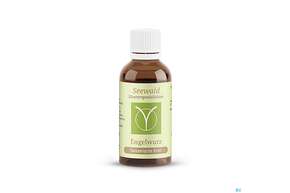 Sie sehen eine Packung Seewald Engelwurz 50ml, Produktbild: 01 Seewald Engelwurz 50ml, A-Nr.: 4624720 - 01
