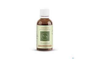 Sie sehen eine Packung Seewald Olivenblatt 50ml, Produktbild: 01 Seewald Olivenblatt 50ml, A-Nr.: 4624909 - 01