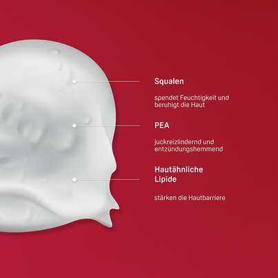 Sie sehen eine Packung PHYSIOGEL® Calming Relief A.I. Lipidbalsam, Produktbild: 03 PHYSIOGEL® Calming Relief A.I. Lipidbalsam, A-Nr.: 5388368 - 03