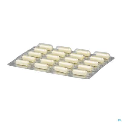 Darmflora Plus Dr.wolz Uro Kapseln Nr 60520 40st, A-Nr.: 5186707 - 08