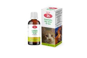 Sie sehen eine Packung Magister Doskar VET Nr. 16 Grippetropfen für Tiere, Produktbild: 01 Magister Doskar VET Nr. 16 Grippetropfen für Tiere, A-Nr.: 1299610 - 01