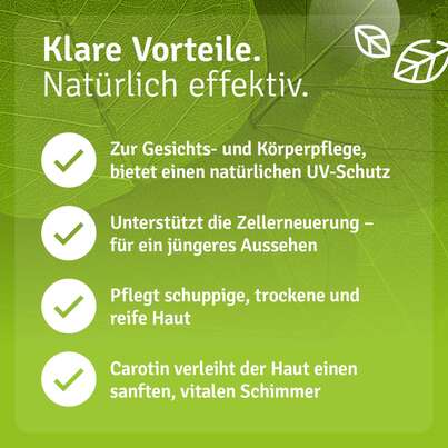 Sie sehen eine Packung Karotten Öl, Produktbild: 04 Karotten Öl, A-Nr.: 5807523 - 04